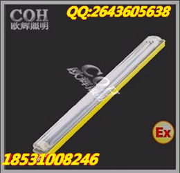 BCX6225粉尘防爆防腐荧光灯产品详情 镇流器特性与应用